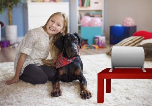 Purificateur d'Air Clean Air - DESINFECTEZ.com