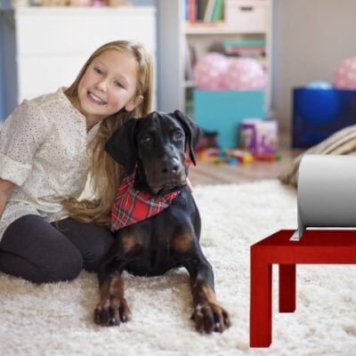 Purificateur d'Air Clean Air - DESINFECTEZ.com