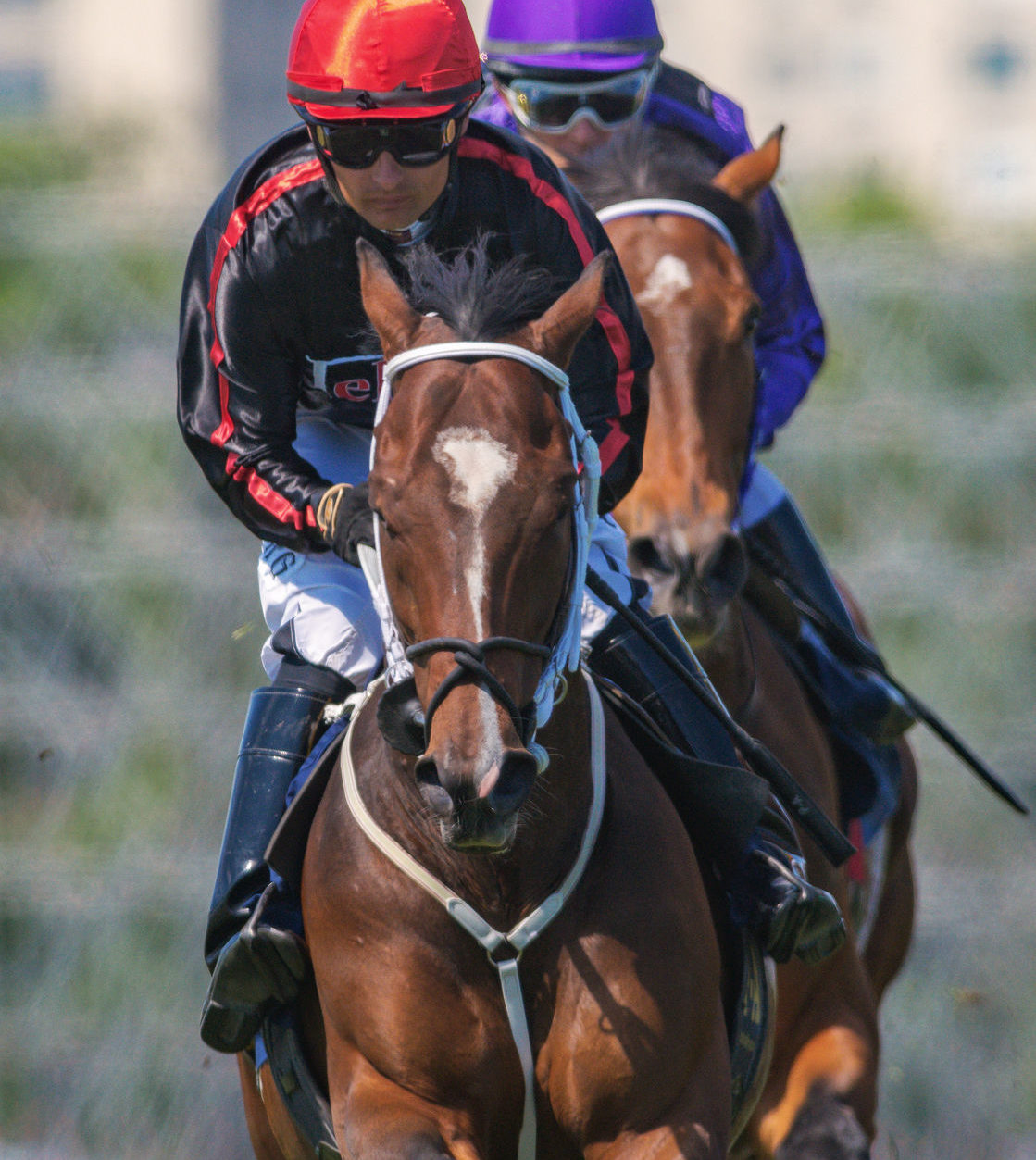 58698671 - stockholm, sweden - june 6, 2016: two race horses and jockeys in closeup at the nationaldags galoppen at gardet.