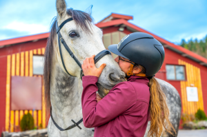centre-equestre-chevaux-désinfection