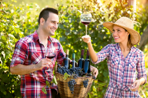 viticulteur-vin-désinfection