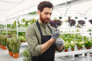 Pépiniériste-Horticulteur-désinfection