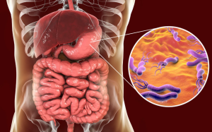 Campylobacter