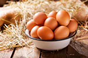 Campylobacter jejuni