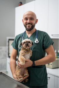 clinique vétérinaire chien chat animaux de compagnie hygiène bactérie