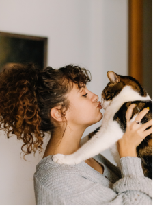 pension chat chien hygiène propreté